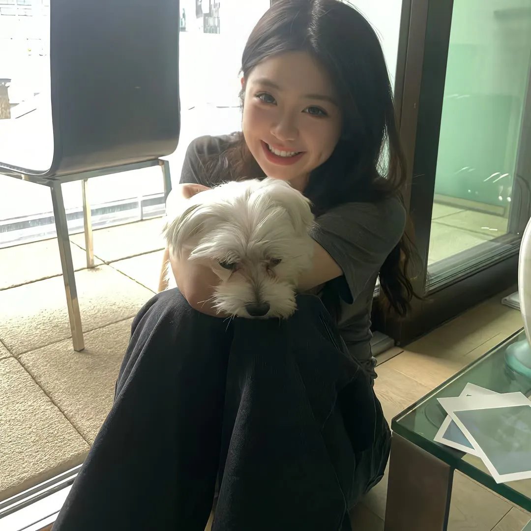 无耻之徒第四季 在线观看封面