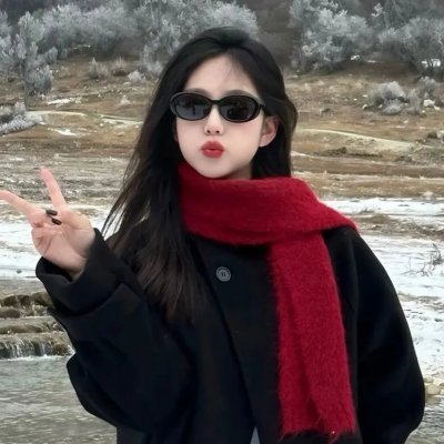 高空大追捕 在线观看封面